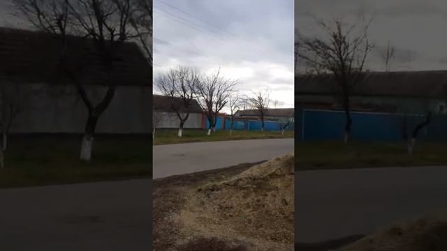 и на юге есть елочки смотреть онлайн