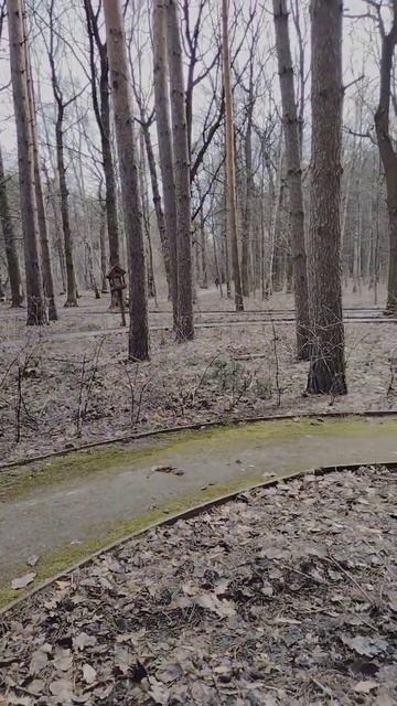 я в весеннем лесу смотреть онлайн