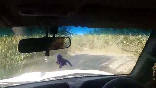 Бараза Джамбул2