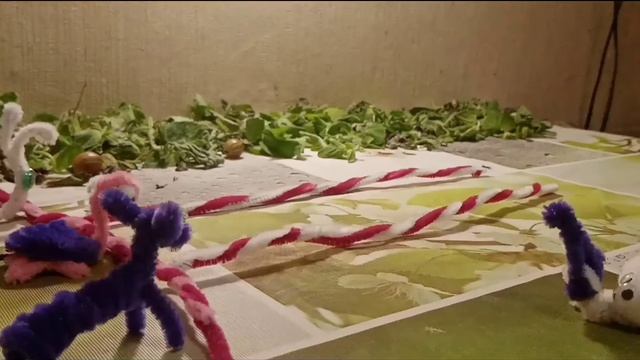 Покадровый мультик "Забег" смотреть онлайн