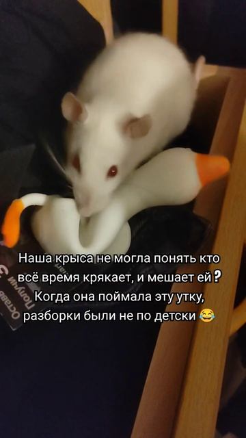 Какие у меня могут быть притензии к этому солнышку ❓ #? смотреть онлайн
