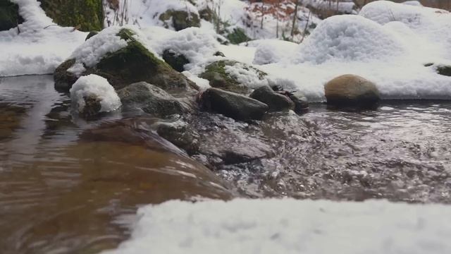 Три ДЕЛА которые нужно сделать До СРЕТЕНИЯ 15 февраля С смотреть онлайн