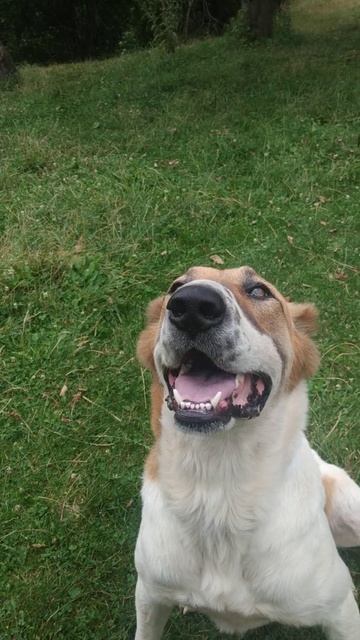 Не хочет гулять ,пусть тогда учиться ) смотреть онлайн