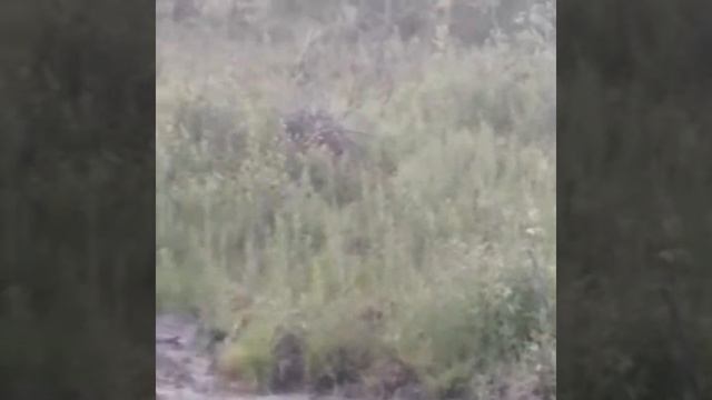 Белые ночи в Мурманске смотреть онлайн