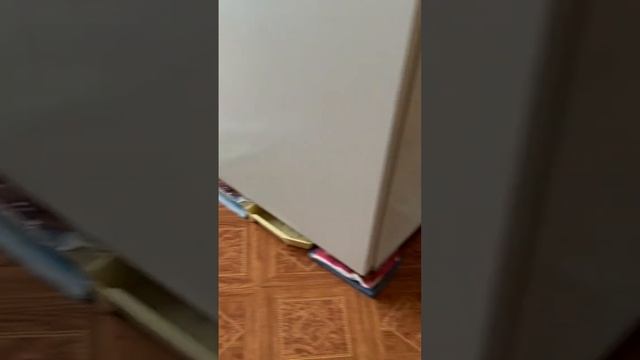 Иди есть кашу! Ыыыы. Old English Bulldog. смотреть онлайн