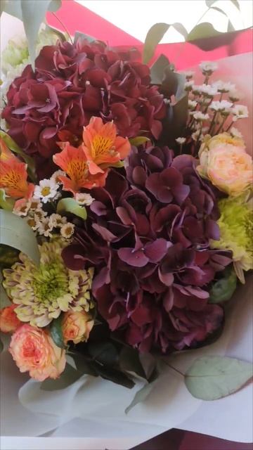 Букет з гортензією. Імперія квітів - доставка букетів.# смотреть онлайн