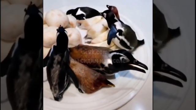 У нас в Рязани грибы с глазами смотреть онлайн