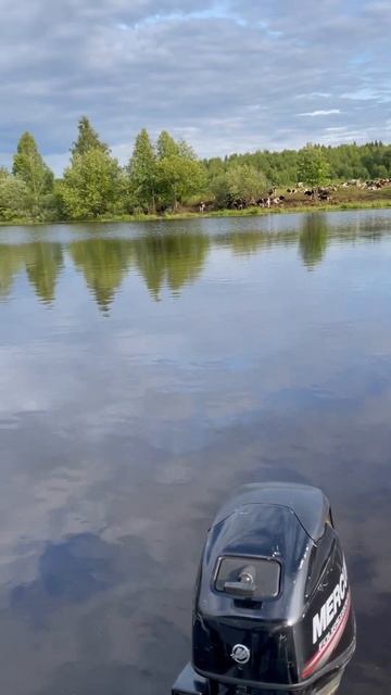 Сыктывкар Еляты смотреть онлайн