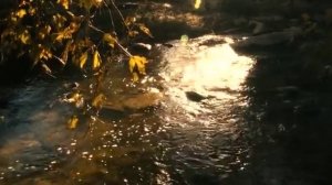 Драйв (Drive 2011)