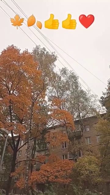 Кружит осенний листопад🍁👍#шортс#природа#осень#крас? смотреть онлайн