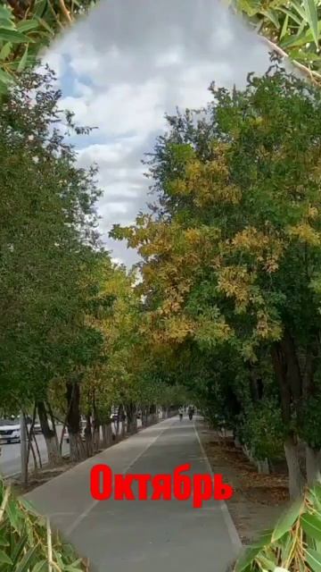 осень #октябрь смотреть онлайн