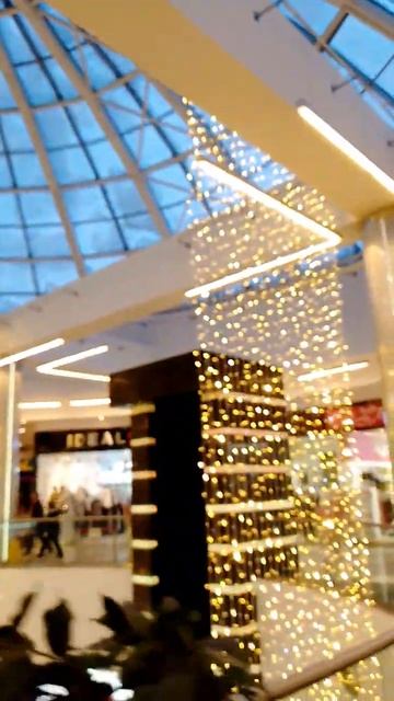 большой торговый центр в Москве Зеленоград смотреть онлайн