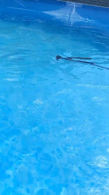 Слить воду, молоток в помощь. смотреть онлайн