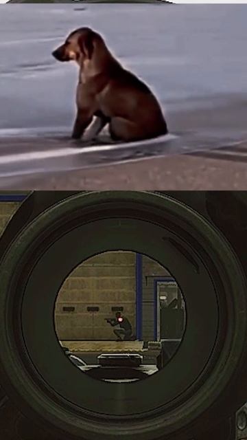 граната под ноги #тарков #tarkovmoments #tarkovmemes смотреть онлайн