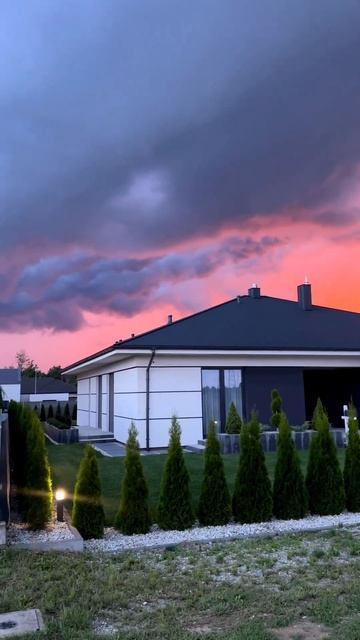 ТУИ на участке с идеальным газоном смотреть онлайн