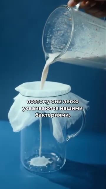 Почему гниют и не усваиваются кисломолочные продукты? смотреть онлайн