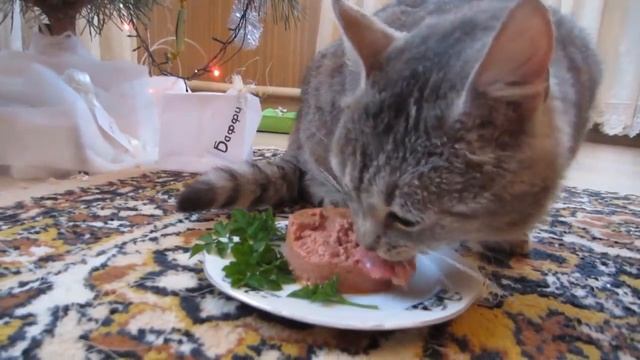 Смешной Кот Малыш И Кошка Мурка Открывают Подарки! Рас смотреть онлайн