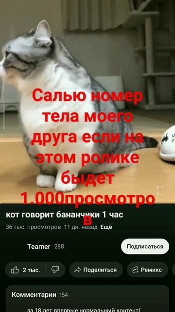 он есть в ютубе;подержите его пожалуйста, я ряльно сол? смотреть онлайн
