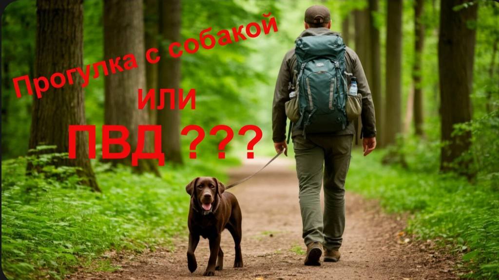 Прогулка с собакой до памятника военным кинологам. смотреть онлайн