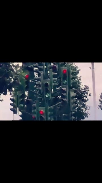 дерево светофоров смотреть онлайн