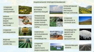 ВПР по географии в 8 классе. Задания № 4-6