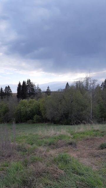 Сходите к лесу, если есть возможность 🙌😌🍃(2) смотреть онлайн