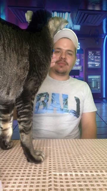 Проверка лайфхака Мята для кошек #проверкалайфхаков #? смотреть онлайн