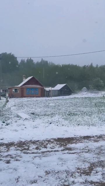 3 мая#Майский снег🫣😍❄️#утро#8:02#каинки#купиладомвде? смотреть онлайн