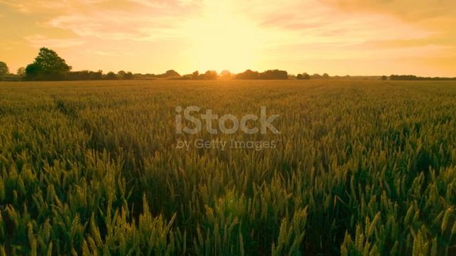 Пелагея Михаил Горшок Горшенев песня ой при лужку при лужке