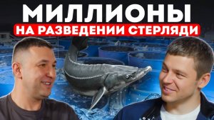 +20% к капиталу ЕЖЕМЕСЯЧНО! Честный обзор на УЗВ-ферму в Кирове: сколько вложили и когда окупится?