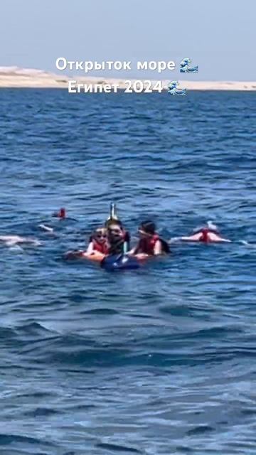 Экскурсия на риф Шарм-эль-Шейх апрель смотреть онлайн