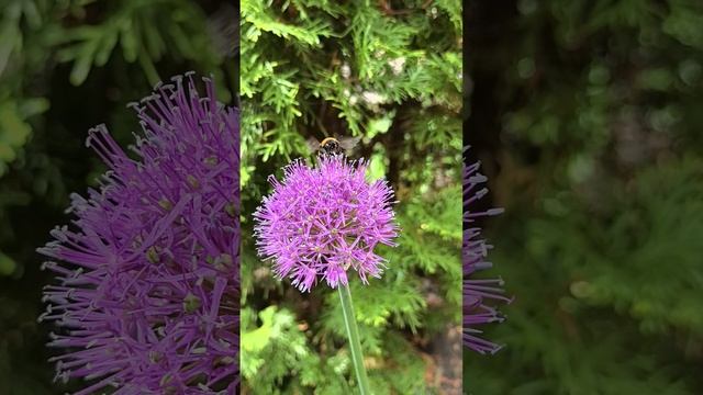 Когда выбрался в отпуск