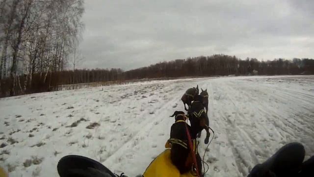 Навеяло Суздальским Лугом о заплыве в Межуре 2015 смотреть онлайн