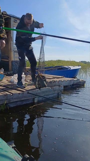 хорошо поймали ( есть мат) смотреть онлайн