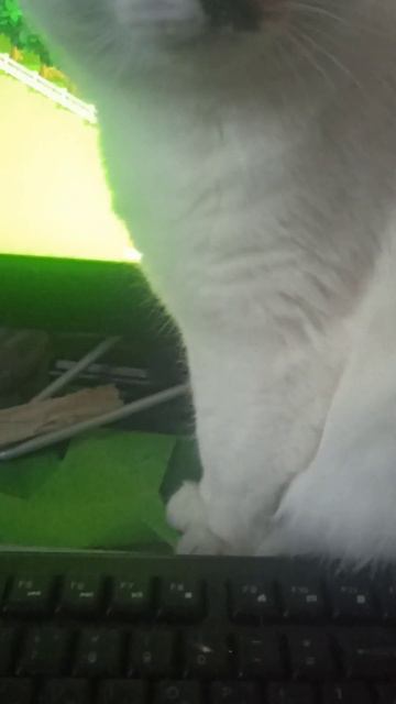 Россия.Сибирь. Ангарск. 17.01.2025г.🥰🥰🥰 Они для нас СТРА? смотреть онлайн