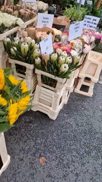 Лондон. Маркет. Гортензии.  Розы. Лук. Калючки. London. Market.