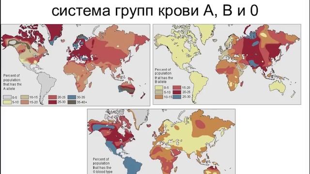 Группы крови человека