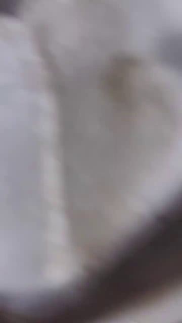 Где находится номер двигателя Опель Мерива а 2007 1.6 смотреть онлайн