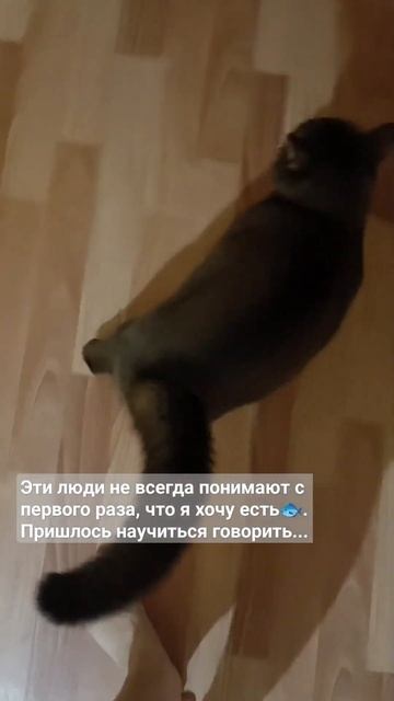 Какое бы ещё полезное слово выучить? смотреть онлайн