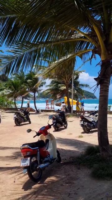 сентября 2024, пляж Най Харн! Отличная погода и даже есть смотреть онлайн