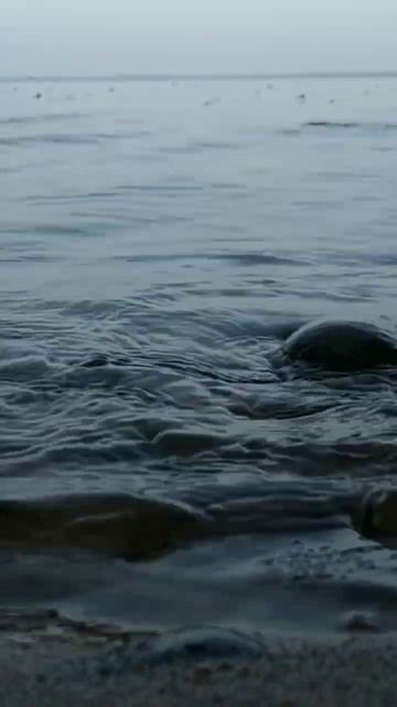 дзен #shorts #наприроде #велопрогулка #shortvideo смотреть онлайн