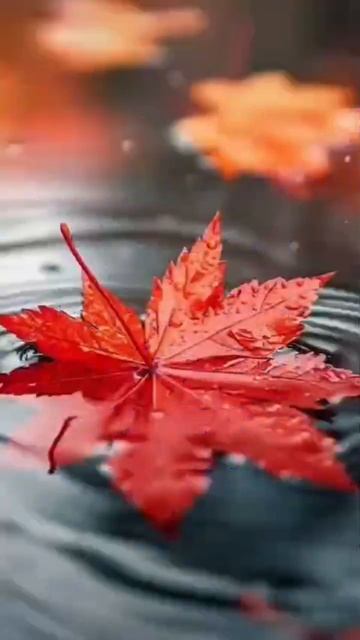 И пусть всё будет хорошо! 🌹🌹🌹 #доброеутро #утро смотреть онлайн