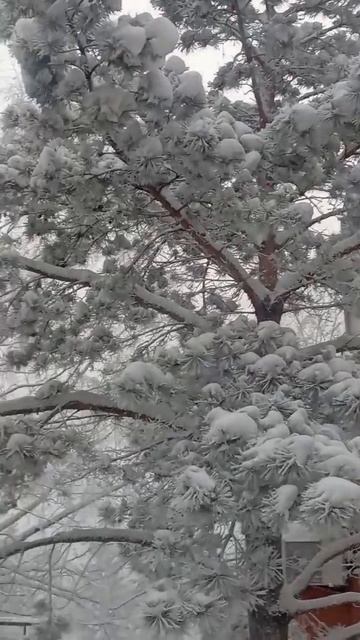 Эх.. Морозец! Эх.. Красота! Красноярск. смотреть онлайн