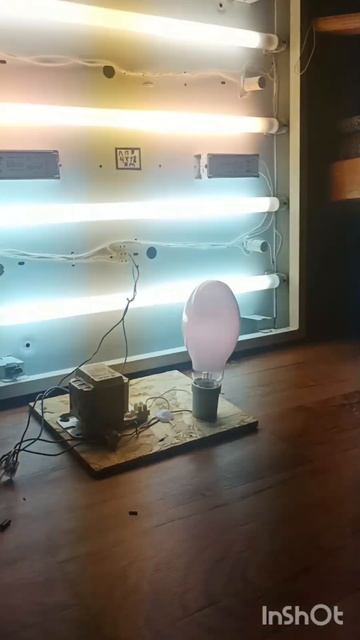 С наступающим новым годом!!! 🎄🎇🧨 Светотехники !!! смотреть онлайн