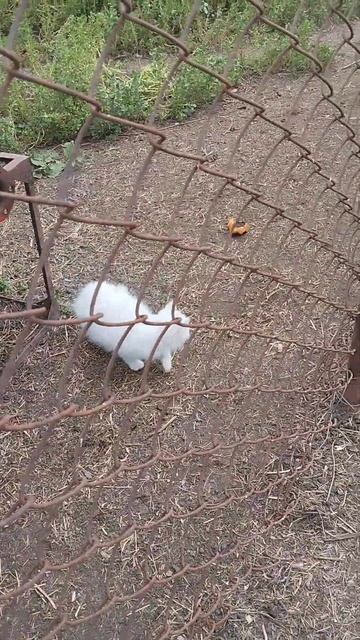 Лучше бежать🤣🥰есть сильнее меня,😍 смотреть онлайн