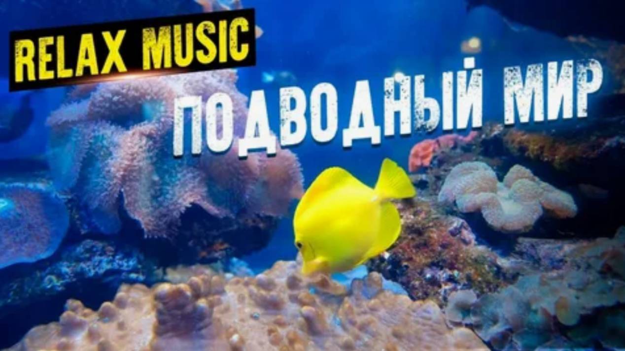 Красивый подводный мир для расслабления. Релакс видео с нежной музыкой