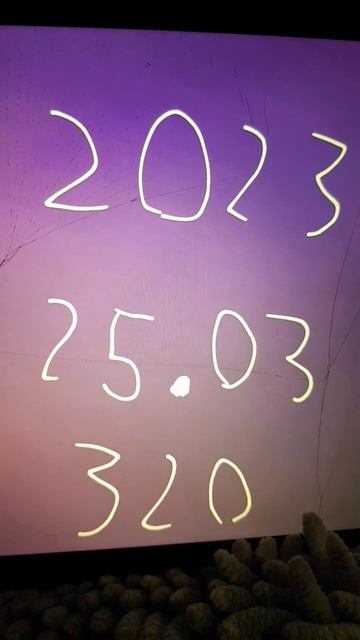 Сколько подпишиков у меня стало за ели годы? смотреть онлайн