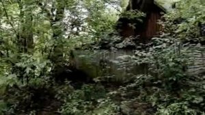 Жизнь после людей