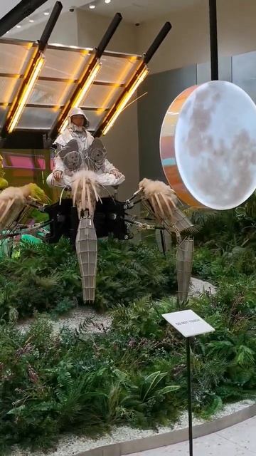 Просто магазин очков в Дубай Молл #дубай #дубаймолл #duba смотреть онлайн