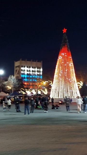 Новогодняя Ёлка Севастополь #shorts смотреть онлайн